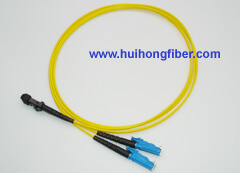 E2000 to MTRJ Fiber Optic Patch Cable